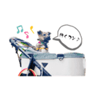 しずくちゃんスタンプだよ♪（個別スタンプ：5）