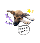 しずくちゃんスタンプだよ♪（個別スタンプ：8）