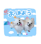 うにとたら第3段（個別スタンプ：1）