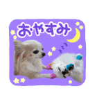 うにとたら第3段（個別スタンプ：2）