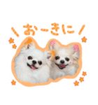 うにとたら第3段（個別スタンプ：7）