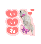 うにとたら第3段（個別スタンプ：8）