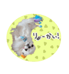 うにとたら第3段（個別スタンプ：10）