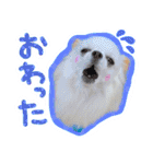 うにとたら第3段（個別スタンプ：13）