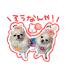 うにとたら第3段（個別スタンプ：16）
