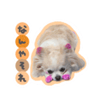 うにとたら第3段（個別スタンプ：18）
