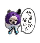 うにとたら第3段（個別スタンプ：19）