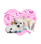 うにとたら第3段（個別スタンプ：20）