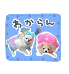 うにとたら第3段（個別スタンプ：21）