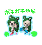 うにとたら第3段（個別スタンプ：22）