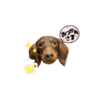 カニンヘンダックス⭐︎LUKE（個別スタンプ：3）