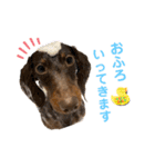 カニンヘンダックス⭐︎LUKE（個別スタンプ：10）