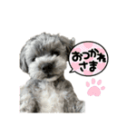 ムギ丸とおか丸スタンプ（個別スタンプ：14）