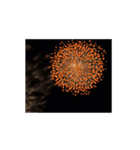 花火は夏の合図（個別スタンプ：2）