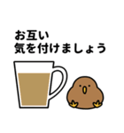 もっちりKIWI【カフェ】（個別スタンプ：24）