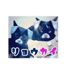 動く黒猫ハルとロビン夏用2（個別スタンプ：6）