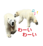 Mga hayop（個別スタンプ：1）