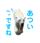 Mga hayop（個別スタンプ：3）