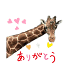 Mga hayop（個別スタンプ：5）