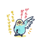 セキセイインコLINEスタンプ 黄色頭の水色（個別スタンプ：6）