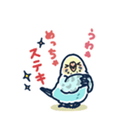 セキセイインコLINEスタンプ 黄色頭の水色（個別スタンプ：11）