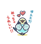 セキセイインコLINEスタンプ 黄色頭の水色（個別スタンプ：12）