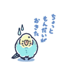 セキセイインコLINEスタンプ 黄色頭の水色（個別スタンプ：13）