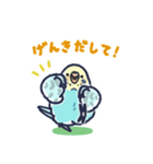 セキセイインコLINEスタンプ 黄色頭の水色（個別スタンプ：23）