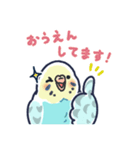 セキセイインコLINEスタンプ 黄色頭の水色（個別スタンプ：24）