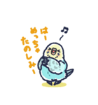 セキセイインコLINEスタンプ 黄色頭の水色（個別スタンプ：29）