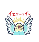 セキセイインコLINEスタンプ 黄色頭の水色（個別スタンプ：31）