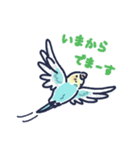 セキセイインコLINEスタンプ 黄色頭の水色（個別スタンプ：34）