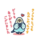 セキセイインコLINEスタンプ 黄色頭の水色（個別スタンプ：37）