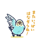 セキセイインコLINEスタンプ 黄色頭の水色（個別スタンプ：38）