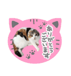 スコ姉妹モカミケ（個別スタンプ：7）