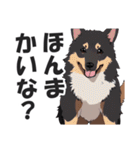 微妙に上から目線な関西弁ドッグ（個別スタンプ：18）