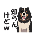 微妙に上から目線な関西弁ドッグ（個別スタンプ：39）