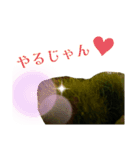 ツンデレまりも（個別スタンプ：19）