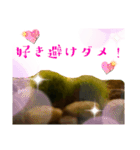 ツンデレまりも（個別スタンプ：23）
