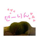 ツンデレまりも（個別スタンプ：26）