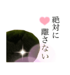 ツンデレまりも（個別スタンプ：28）