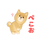 生意気なポメラニアンのてん(短髪＆長髪)（個別スタンプ：6）