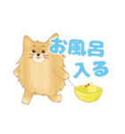 生意気なポメラニアンのてん(短髪＆長髪)（個別スタンプ：20）