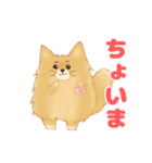 生意気なポメラニアンのてん(短髪＆長髪)（個別スタンプ：23）
