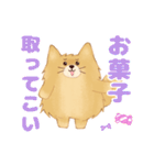生意気なポメラニアンのてん(短髪＆長髪)（個別スタンプ：27）