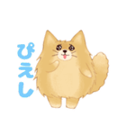 生意気なポメラニアンのてん(短髪＆長髪)（個別スタンプ：34）