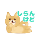 生意気なポメラニアンのてん(短髪＆長髪)（個別スタンプ：40）