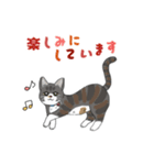 癒しのねこ達（個別スタンプ：8）