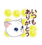 ずっと使える☆夏猫スタンプ（個別スタンプ：4）