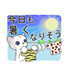 ずっと使える☆夏猫スタンプ（個別スタンプ：17）